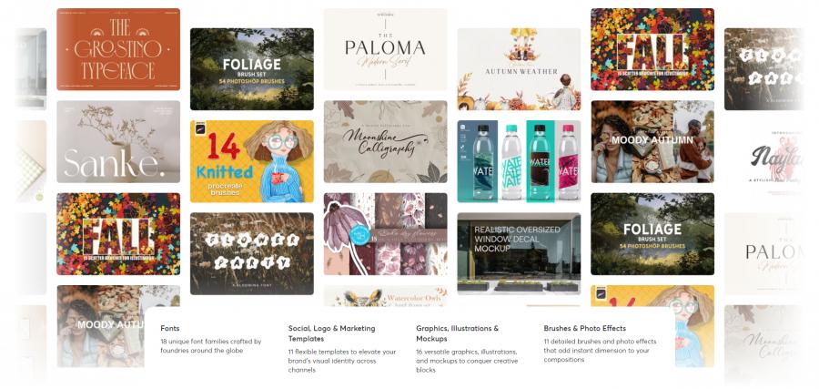 2024年的10月creativemarket.com网站分享价值高达 1000 美元的素材资源打包下载