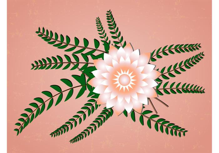 桃红色春天花