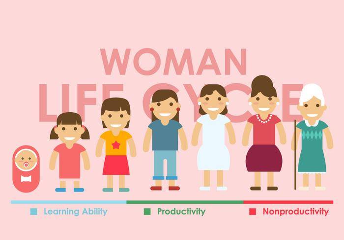女人生命周期矢量