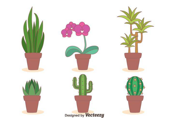 室内植物集合矢量