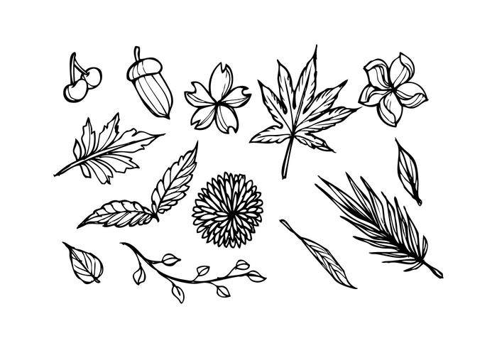 免费花卉素描图标矢量