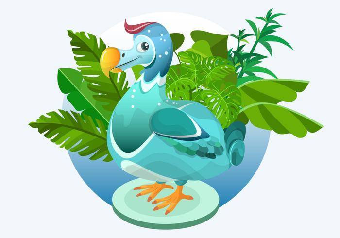 渡渡鸟鸟矢量图