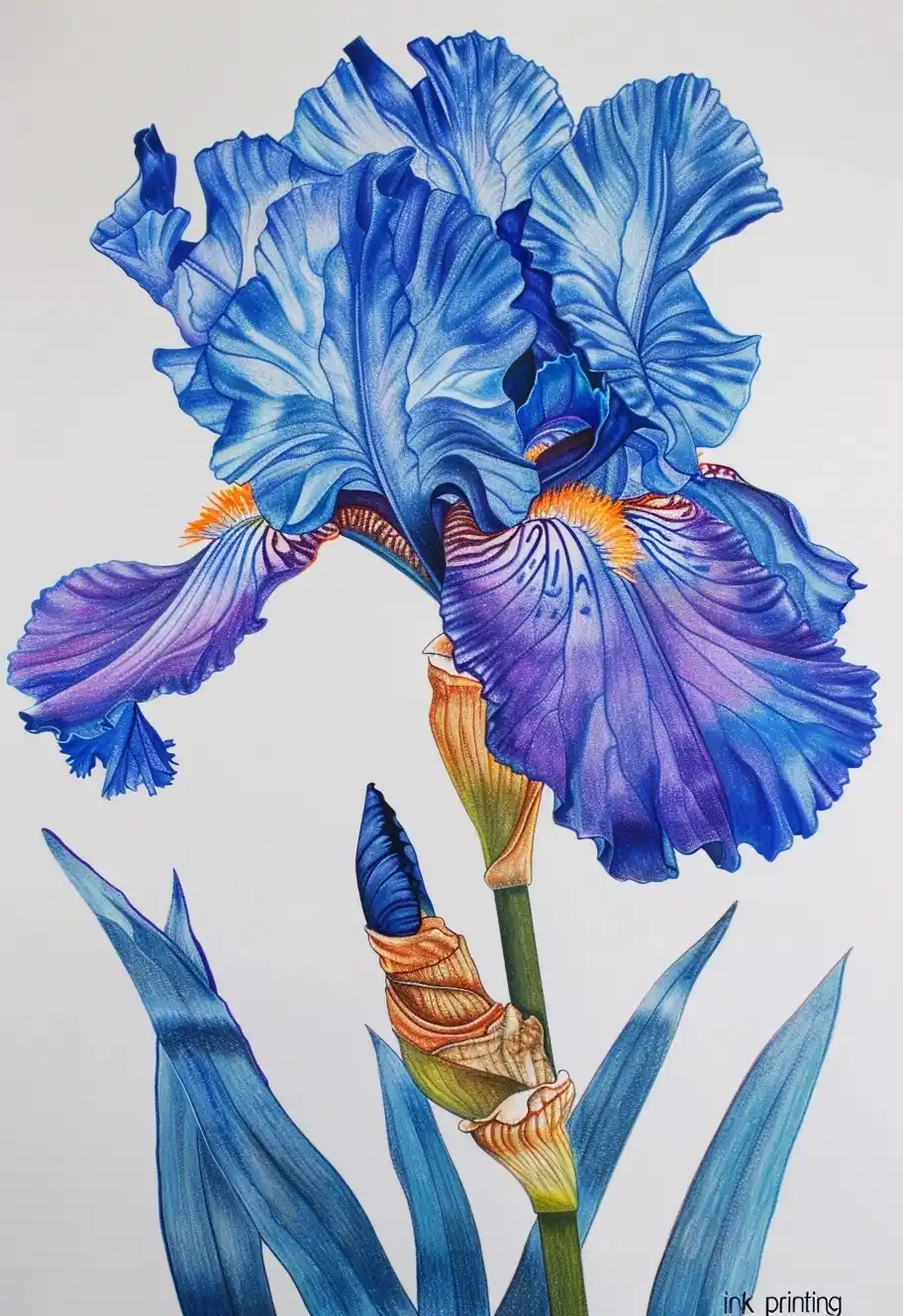 Realistic Iris Botanical Ink Midjourney提示词