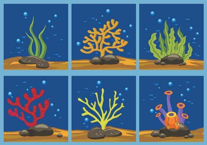 海藻颜色矢量图