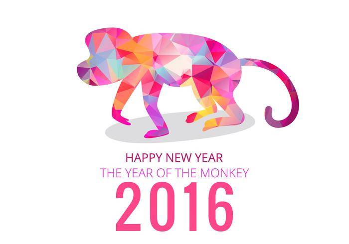2016年的猴子