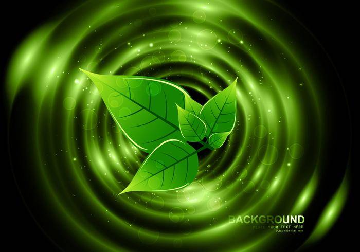 在黑暗的背景的Eco绿色叶子