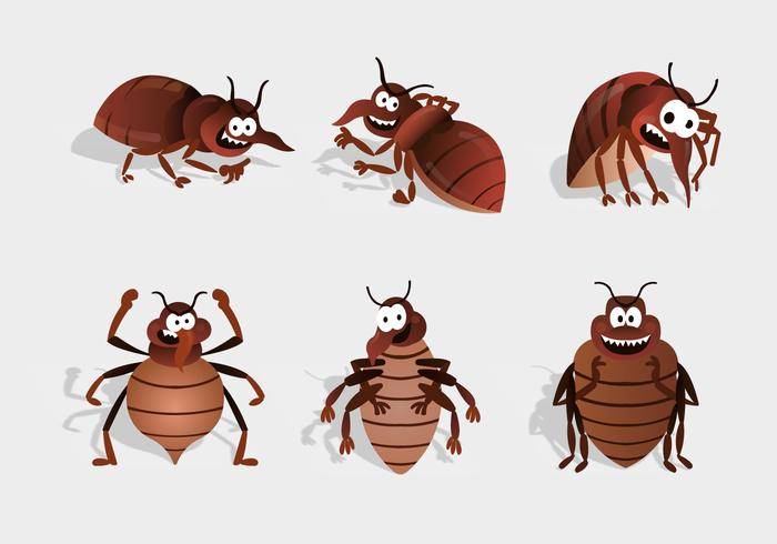 床上的bug卡通人物矢量