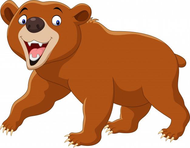 棕熊动画片图片