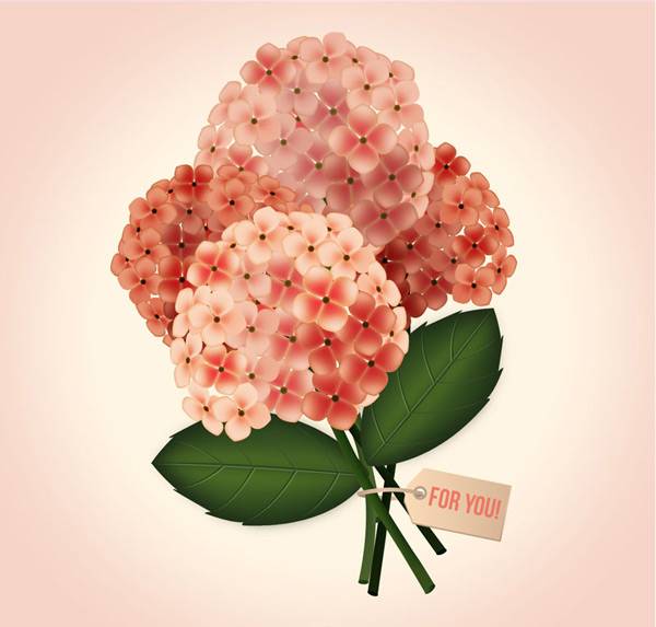 美丽绣球花花束