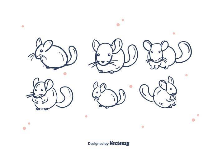 龙猫矢量包