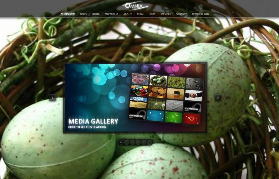 [ACTIVEDEN]OMNIA - Elegant Flash Website