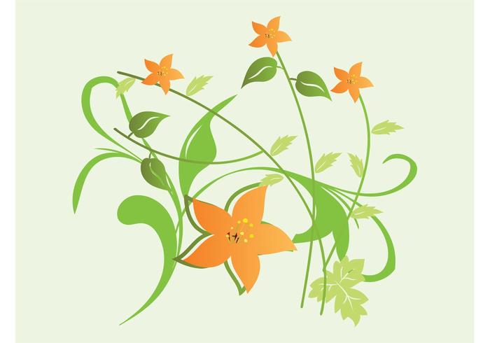 橙花矢量
