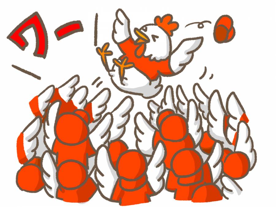 携带备用主控板。在肩膀鸡