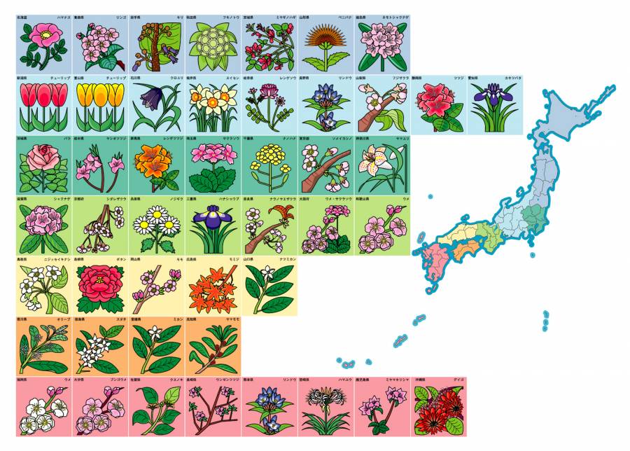 州花