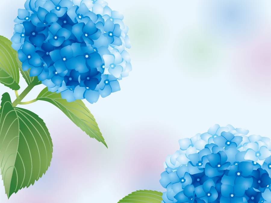 梅雨04