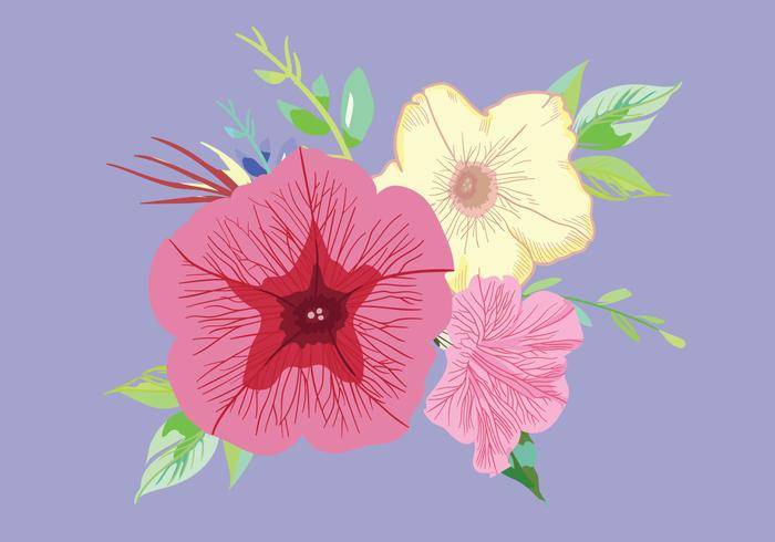 矮牵牛花束传染媒介