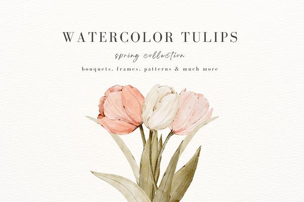 Watercolor Tulip Bouquets & Patterns