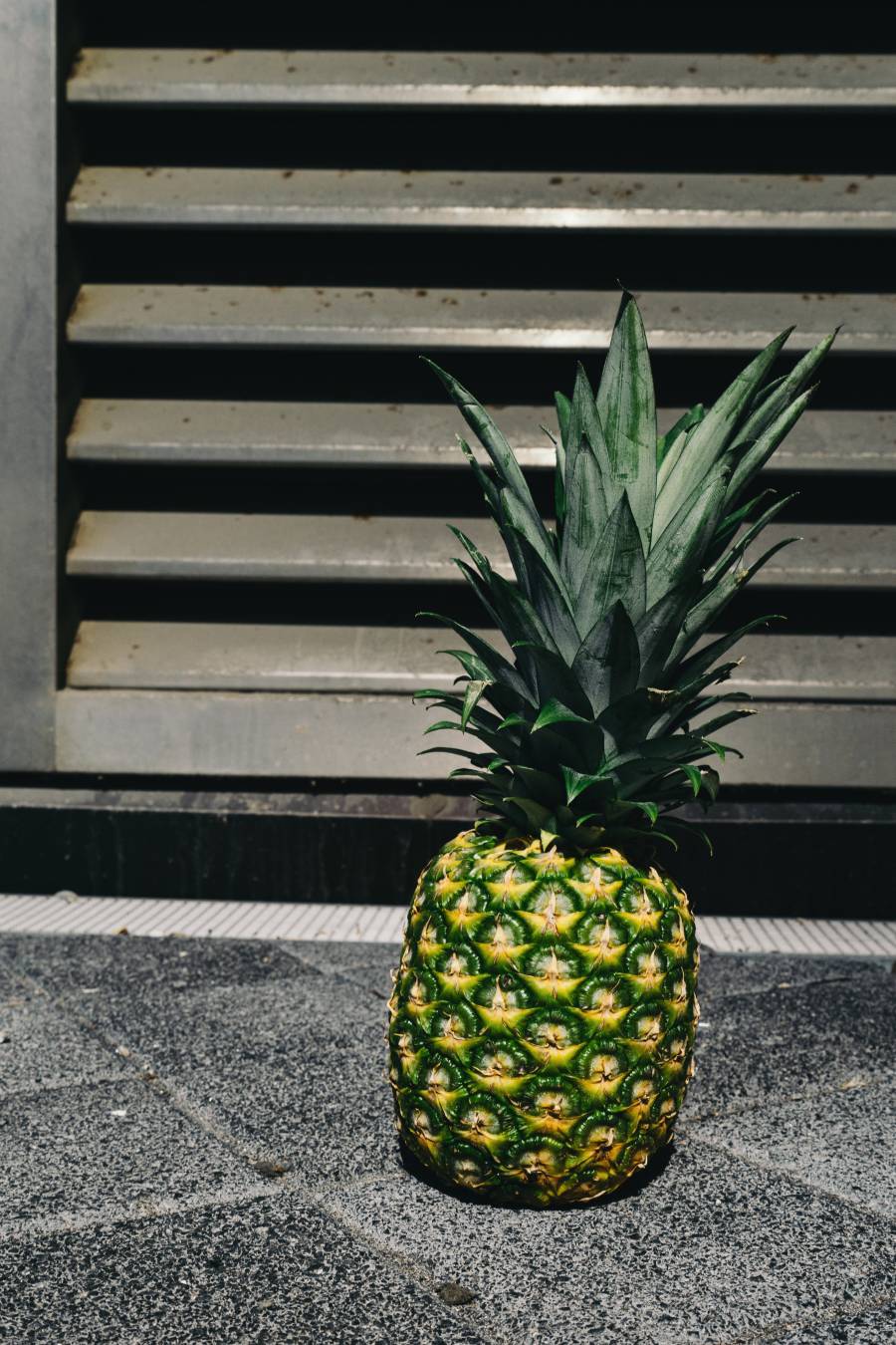 食物与饮料 物体 by Pineapple Supply Co.