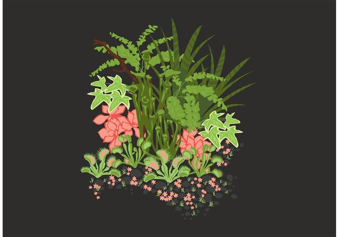 秘密花园矢量