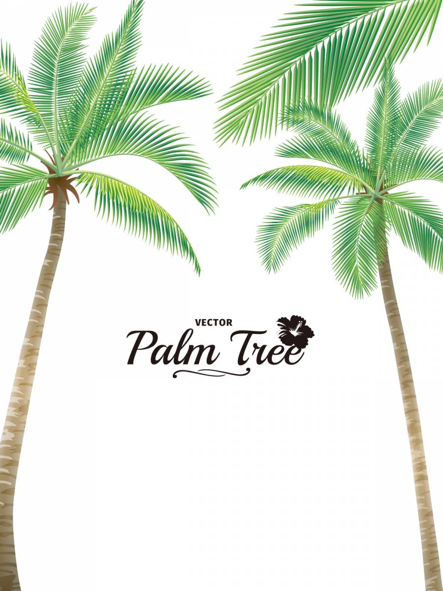 Palm 01