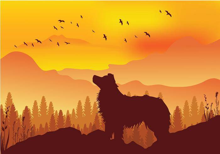 边境牧羊犬剪影免费矢量