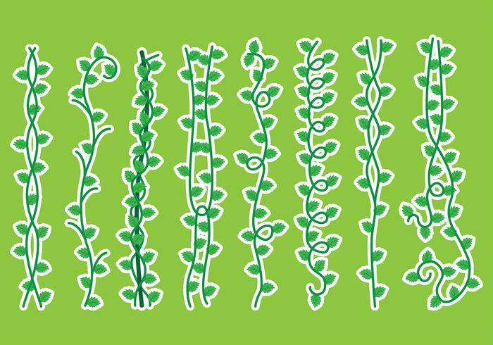 藤本植物矢量图标