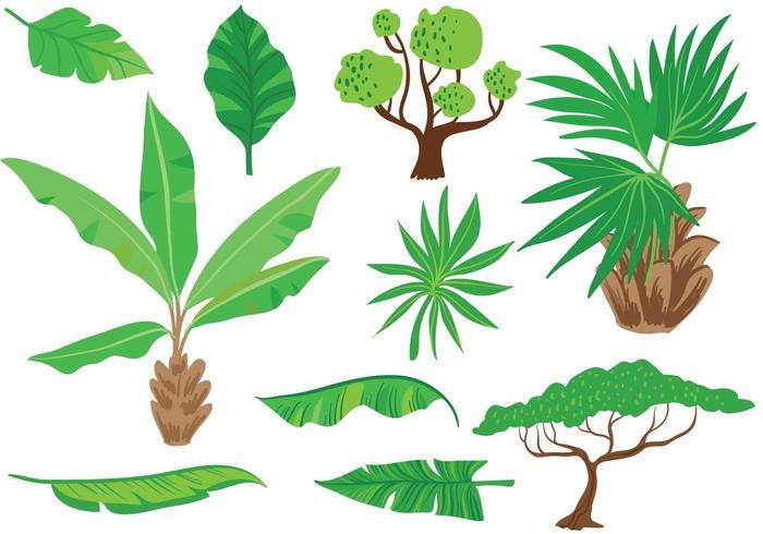 免费的异国情调的植被矢量