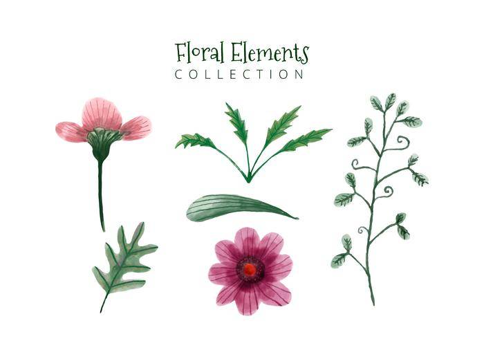 可爱的水彩粉红色的花朵和绿叶集合