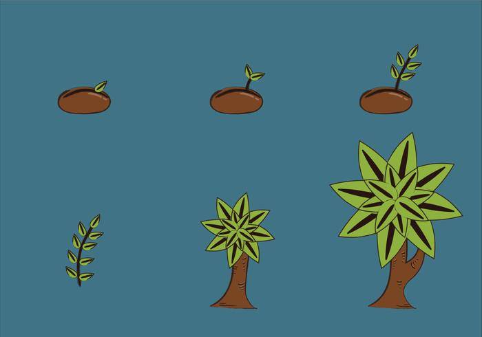 免费的植物生长周期矢量图