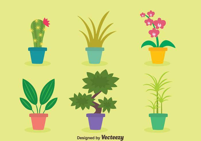 平室内植物矢量