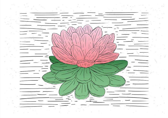 免费手绘矢量花卉插画