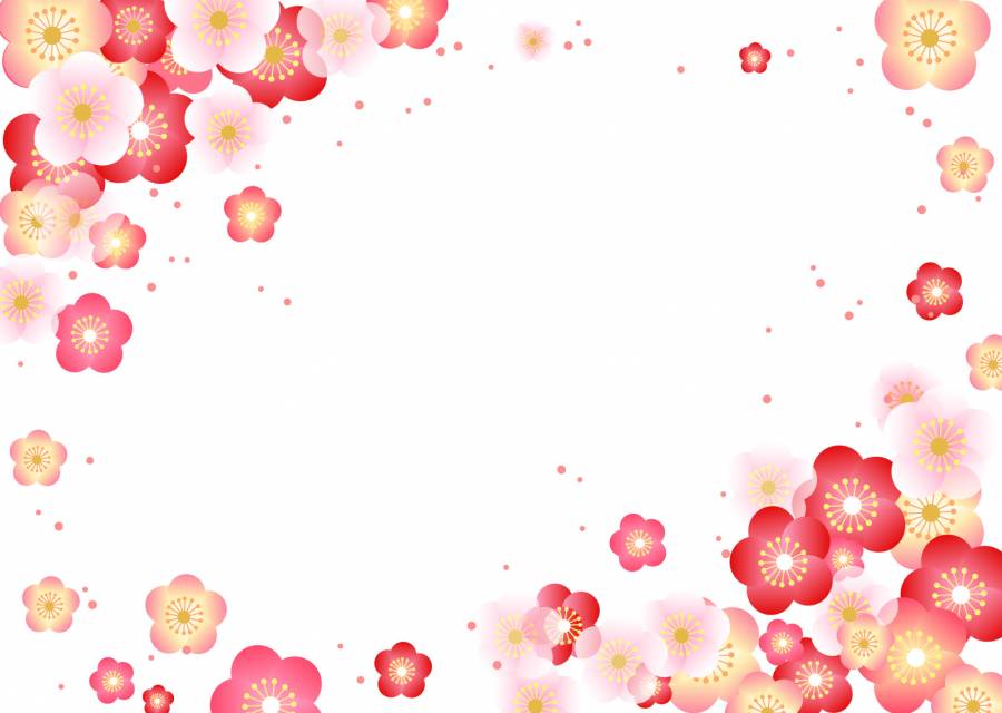梅花架1701