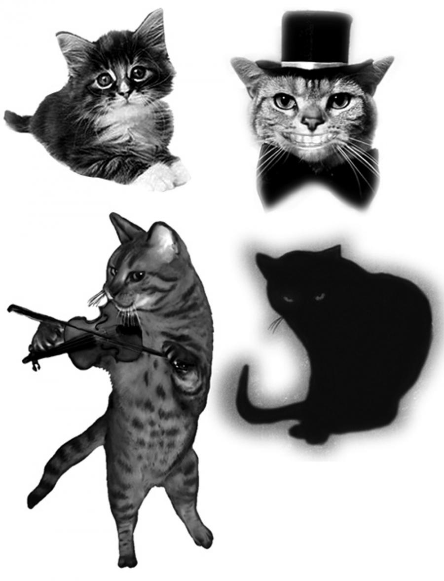 高清晰卖萌猫咪PS笔刷