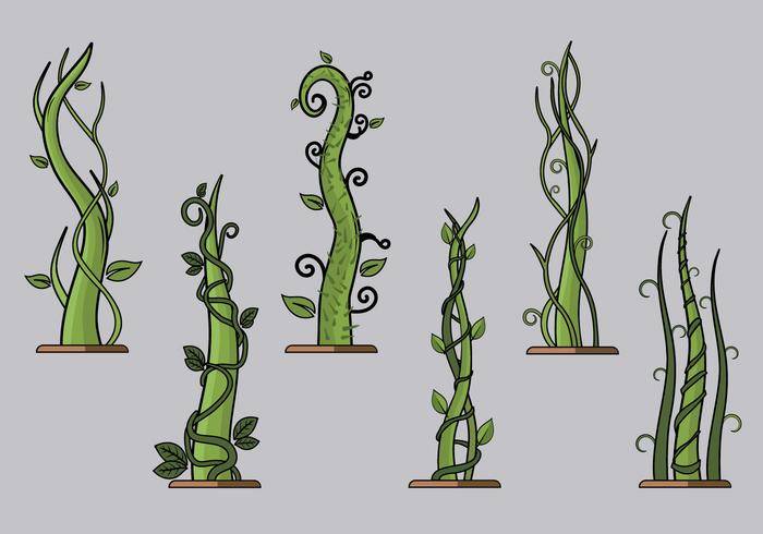 藤本植物直传染媒介组装