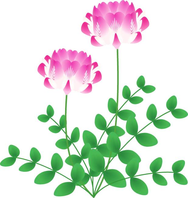莲华草_花2