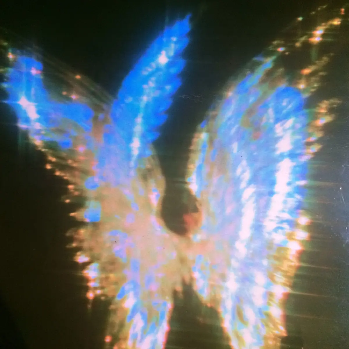 Pair Of Detailed Wings Midjourney提示词
