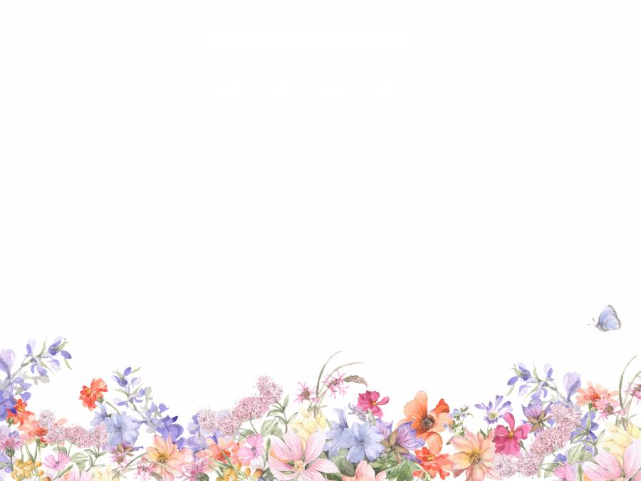 花框158  - 各种花的花框架框架