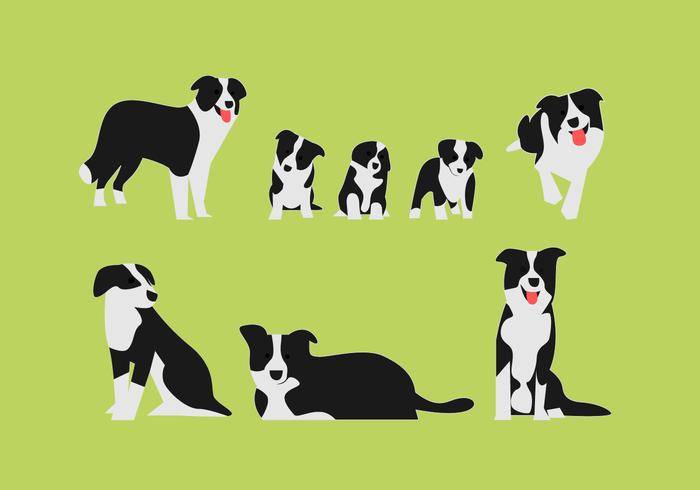 博德牧羊犬矢量插图集