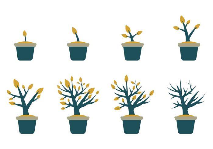 自由长大植物传染媒介