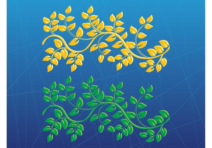 程式化的植物载体
