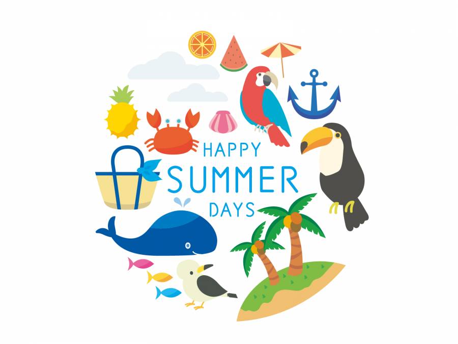 夏天插图
