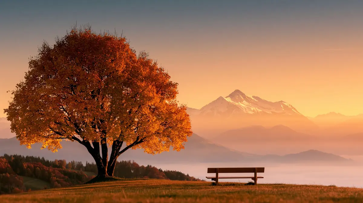 Autumn Hillside Bench Photography Midjourney提示词