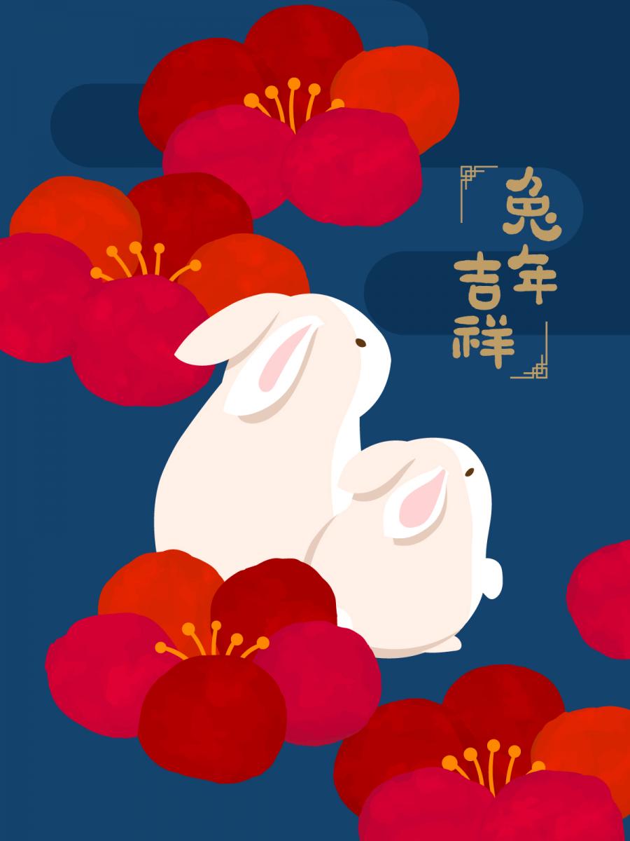 5款2023年兔年大吉恭贺新春新年快乐兔年吉祥如意插画海报AI矢量素材