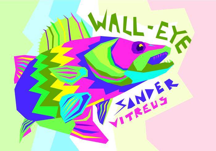 免费Walleye矢量图
