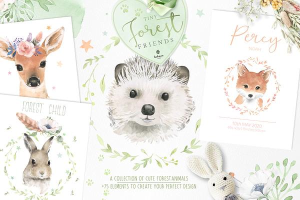 watercolor forest animal portraits