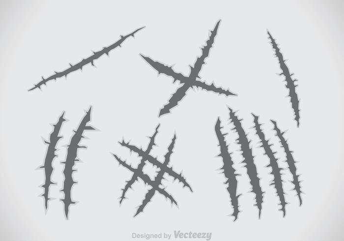 在钢载体的爪子