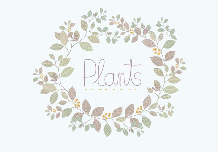 矢量植物花圈