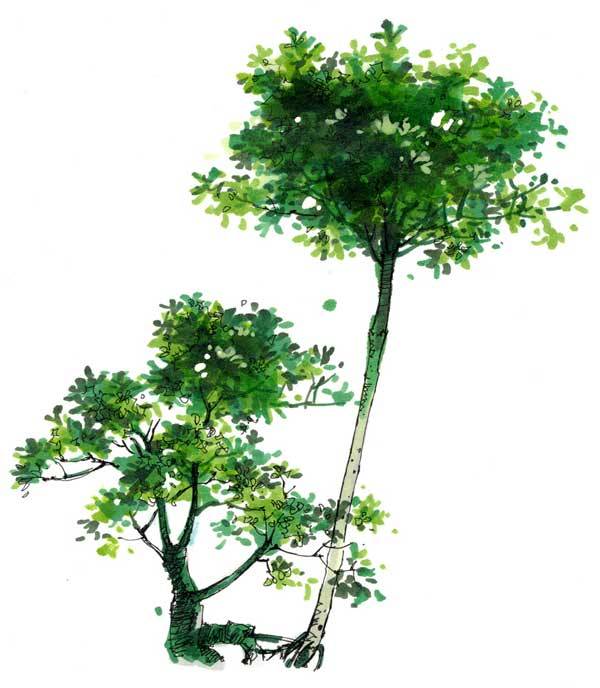 潘俊杰手绘室内效果图2