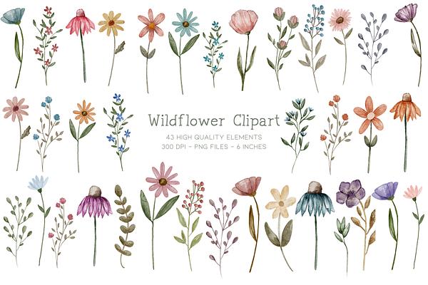 Painted Watercolor Flowers Clipart