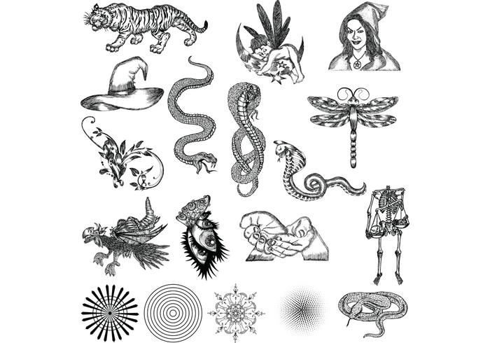 混合的元素免费矢量包-1